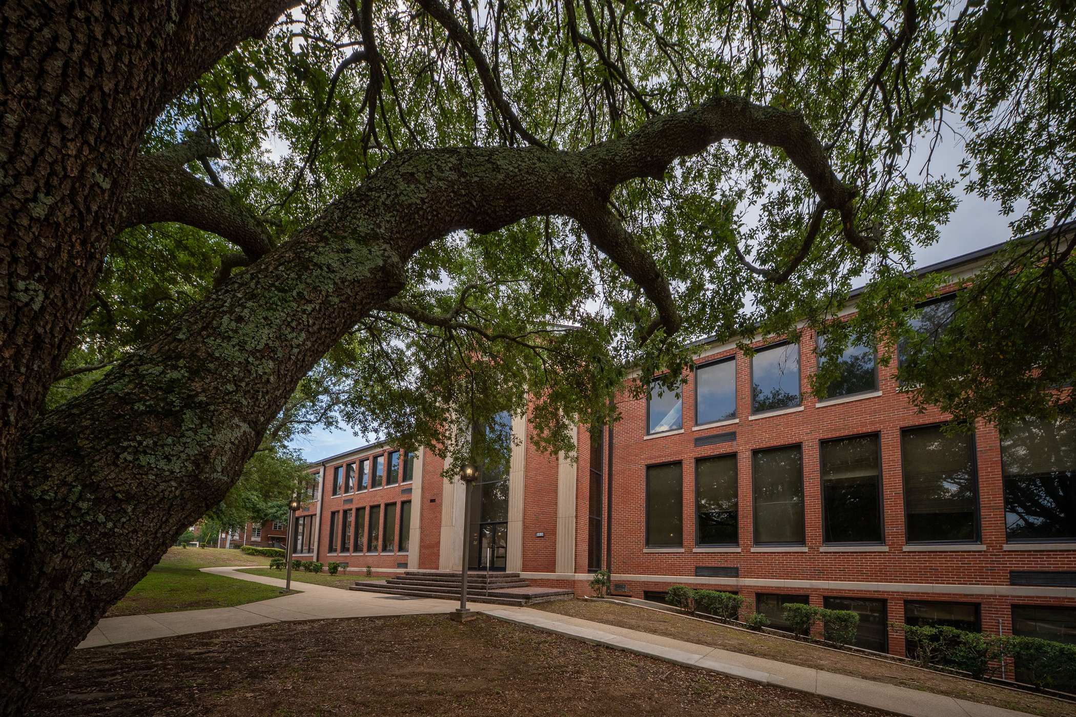 A red brick campus building under a large green tree