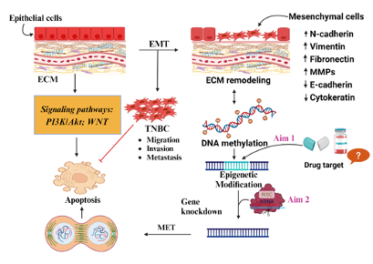 Molecular Interplay