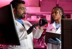 Dr. Sudhanshu Sharma